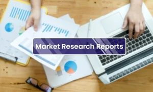 Market Research Reports image featuring 'Market Research Report' text with a person creating the report using documents and a laptop